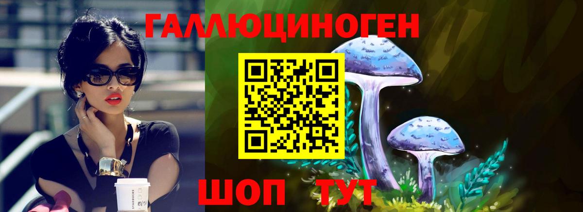 Псилоцибиновые грибы Psilocybe  Псилоцибиновые грибы GOLDEN TEACHER  Таганрог  купить  цена  Вход с VPN 